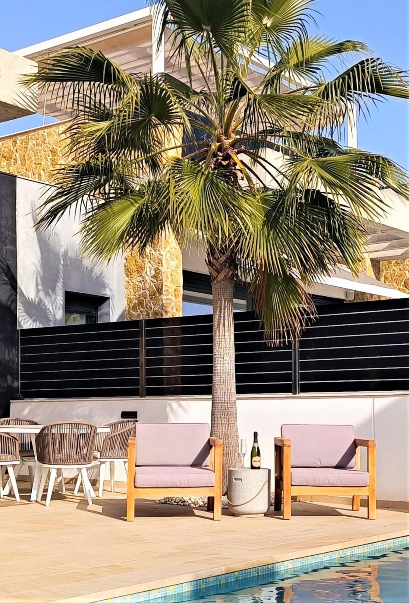 Villa Pmt12 -luxurious With Private Pool Torrevieja